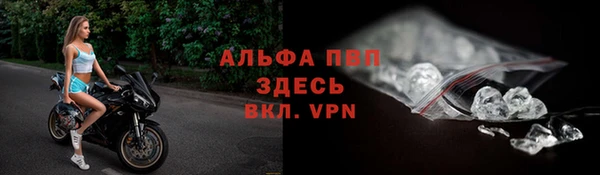 стаф Кинешма