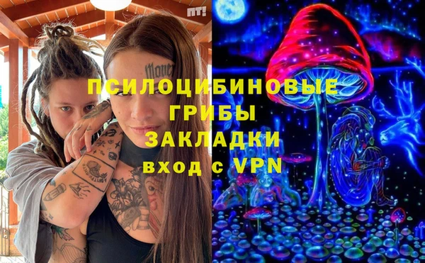 стаф Кинешма