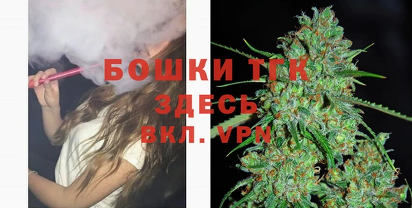 мдпв Киреевск