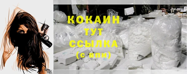 мдпв Киреевск