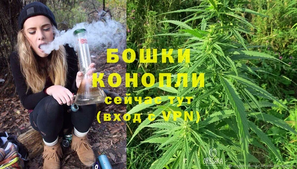 стаф Кинешма